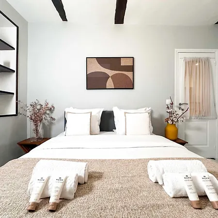 Apartment Modern & Spacious Near Le Marais Paris
